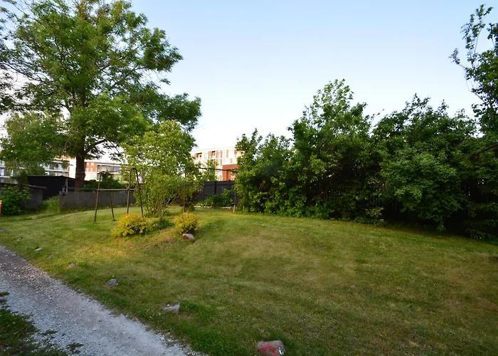 Lovely&cozy In Centre Of *